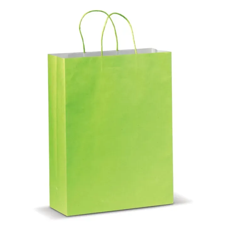 Kraft bag large 120g/m² - LT91718 (N0032)